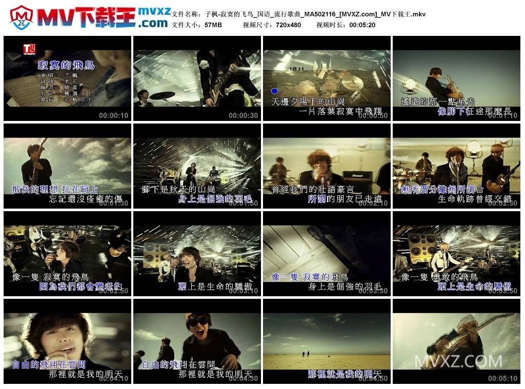 子枫-寂寞的飞鸟_国语_流行歌曲_MA502116